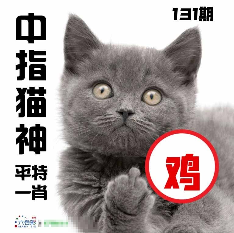 131期中指猫神[图]