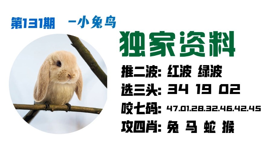 131期小兔鸟[图]